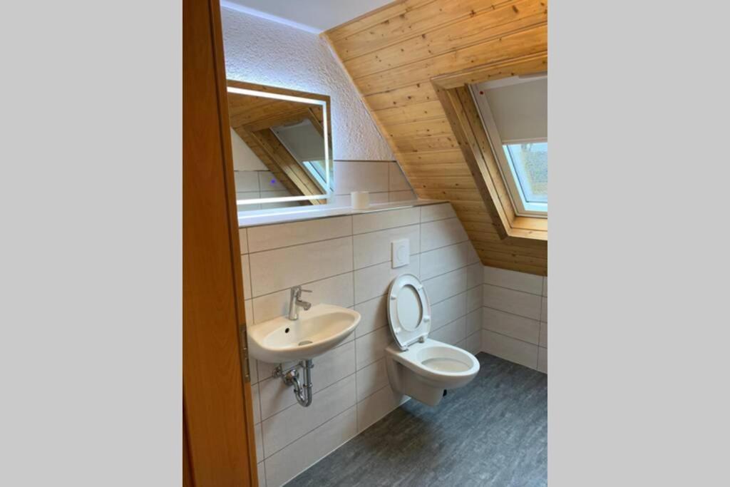 Bgi Wohnung Lahr/Schwarzwald Kültér fotó